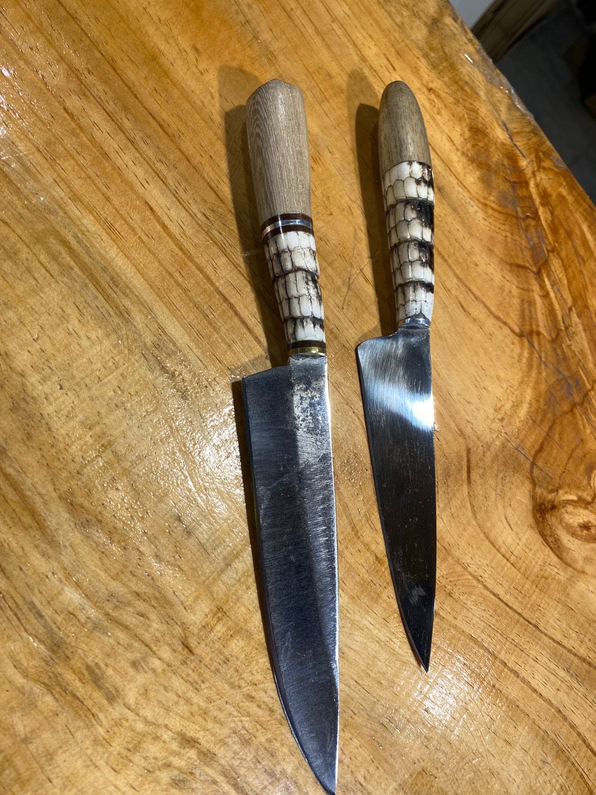 Cuchillo Caparazón de Tatu - Imagen 5