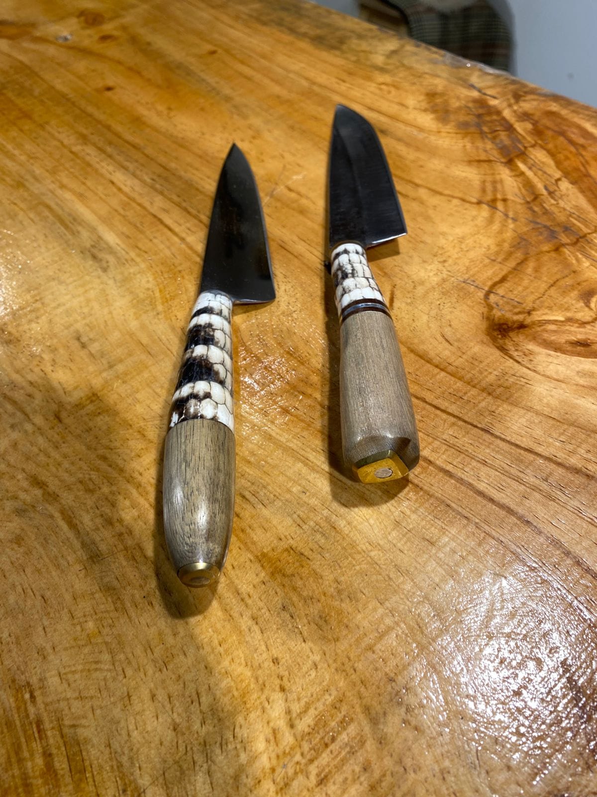 Cuchillo Caparazón de Tatu - Imagen 6