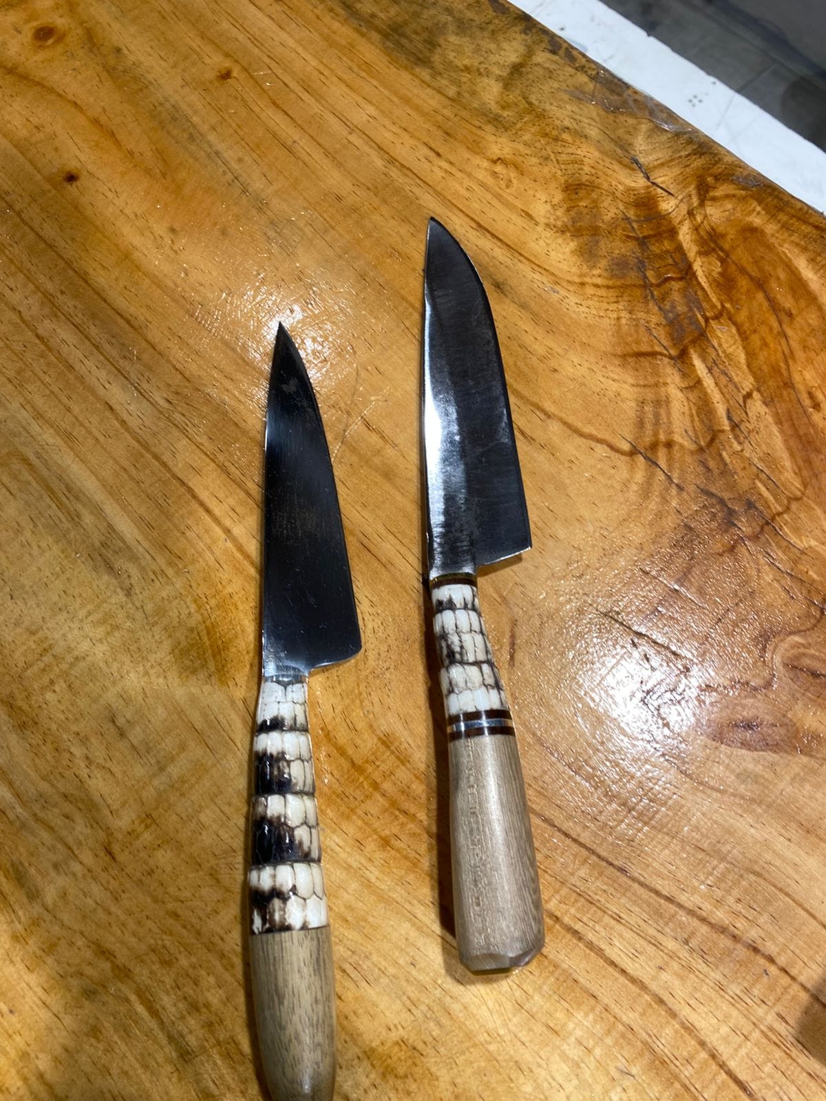 Cuchillo Caparazón de Tatu - Imagen 7